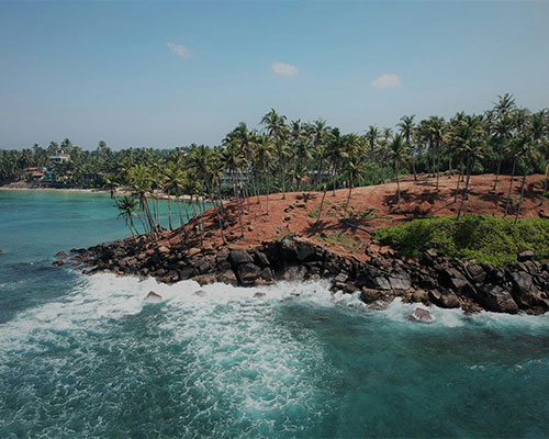 Golden sands and crystal-clear waters of Mirissa Beach, a popular tourist destination in Sri Lanka, with palm trees lining the shore.